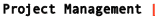 project management